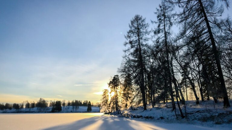 solstitiul-de-iarna-2025:-cea-mai-lunga-noapte-a-anului.-de-cand-incepe-sa-creasca-durata-zilei