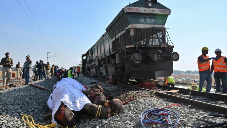 accident-dramatic-in-india.-sapte-elefanti-au-murit-dupa-ce-au-fost-loviti-de-un-tren