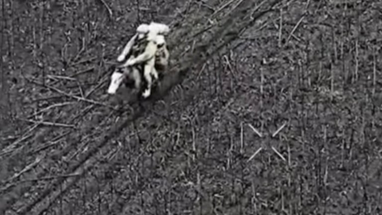 momentul-in-care-soldati-rusi-calare-pe-cai-sunt-eliminati-de-ucraineni:-„nici-acest-lucru-nu-ii-ajuta”