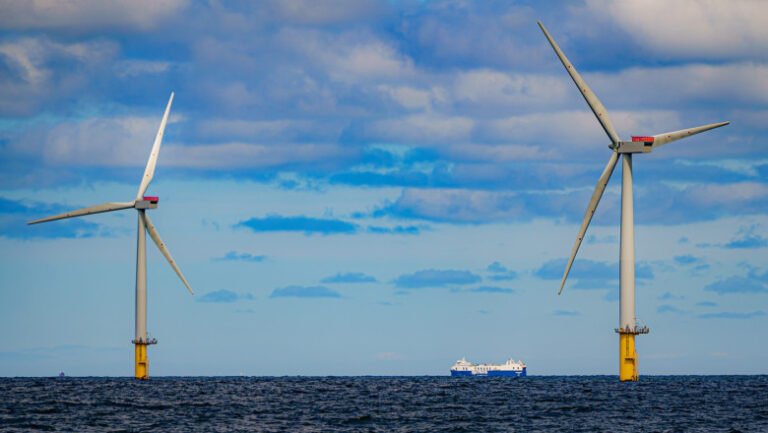 administratia-trump-suspenda-toate-proiectele-de-parcuri-eoliene-offshore-din-sua.-ce-motive-a-invocat