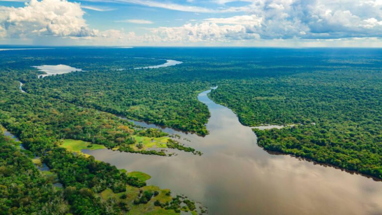 „cocaina,-aur-si-carne”:-cum-a-devenit-amazonul-columbian-o-afacere-profitabila-pentru-gruparile-criminale