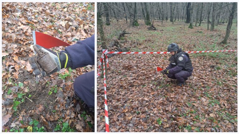 grenada-ofensiva-functionala,-descoperita-intr-o-padure-din-botosani-de-un-pasionat-de-detectii-metalice