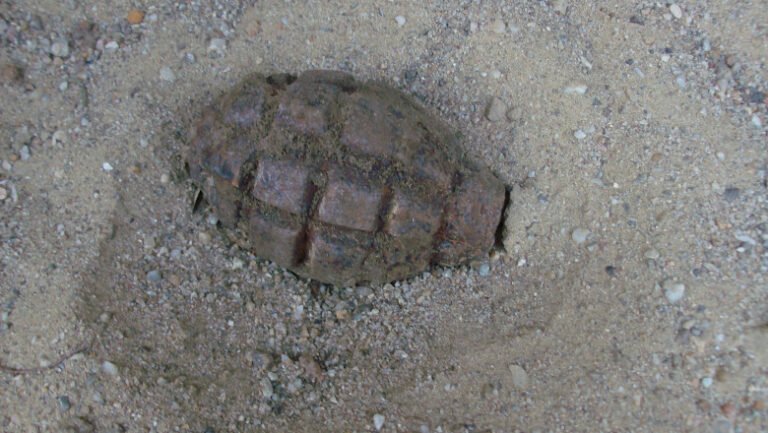 pericol-la-pescuit-un-barbat-din-mehedinti-a-agatat-doua-grenade-cu-undita,-pe-malul-dunarii.-au-fost-chemati-pirotehnistii