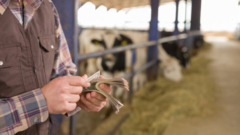 peste-300-de-milioane-de-euro-au-ajuns-la-fermierii-romani-in-noiembrie.-cum-au-fost-impartite-fondurile