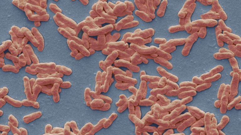 caz-de-lepra-in-romania:-de-cate-feluri-este-boala,-cum-se-manifesta-si-cum-se-trateaza.-explicatiile-unui-medic