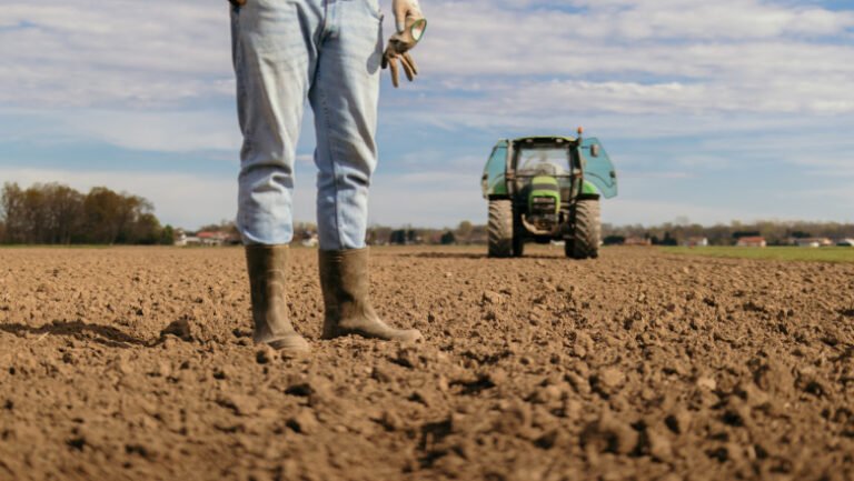 motiv-de-bucurie-pentru-fermierii-din-sudul-tarii:-a-inceput-reabilitarea-sistemelor-de-irigatii.-cand-vor-fi-puse-in-functiune
