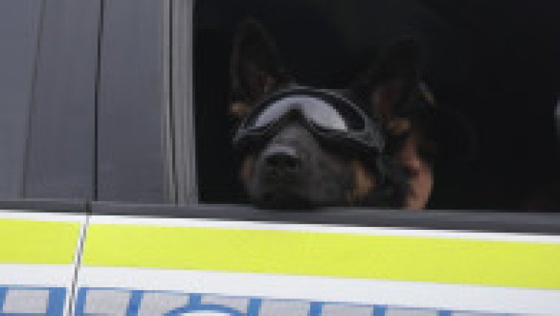 Parada militară de Ziua Națională a României, în București, 1 decembrie 2025. Foto: Inquam Photos/ George Călin | Poza 10 din 24