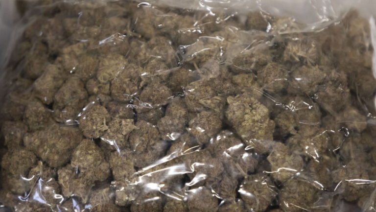 doi-barbati-sunt-cercetati-de-diicot-pentru-trafic-de-droguri,-dupa-ce-au-fost-prinsi-in-flagrant-cu-3,5-kilograme-de-canabis