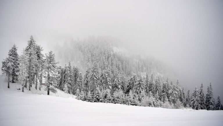 urmeaza-trei-zile-cu-ninsori-abundente-la-munte.-risc-crescut-de-avalanse,-avertizeaza-anm