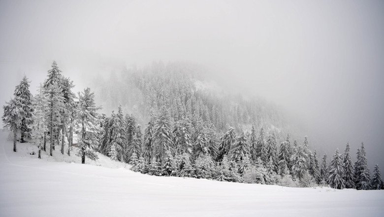 urmeaza-trei-zile-cu-ninsori-abundente-la-munte.-risc-crescut-de-avalanse,-avertizeaza-anm urmeaza-trei-zile-cu-ninsori-abundente-la-munte.-risc-crescut-de-avalanse,-avertizeaza-anm