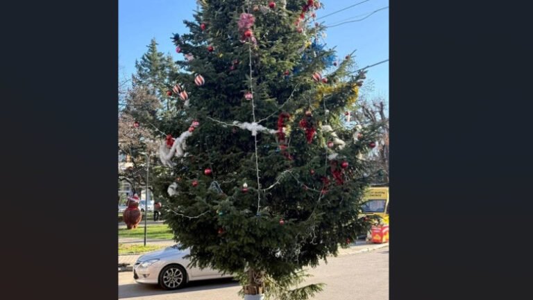 situatie-scandaloasa-in-valcea:-bradul-de-craciun-din-centrul-unui-oras-a-fost-taiat-din-cimitir,-de-la-mormantul-unui-localnic