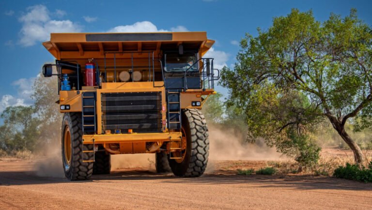 o-tara-din-africa-invita-rusia-sa-investeasca-in-pamanturi-rare-si-diamante-si-anunta-ca-va-deschide-o-ambasada-la-moscova