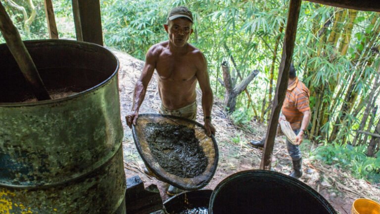 presedintele-columbiei-i-a-cerut-lui-trump-„sa-l-ajute-sa-loveasca-dur-gherila-eln”,-care-controleaza-regiuni-de-productie-a-cocainei