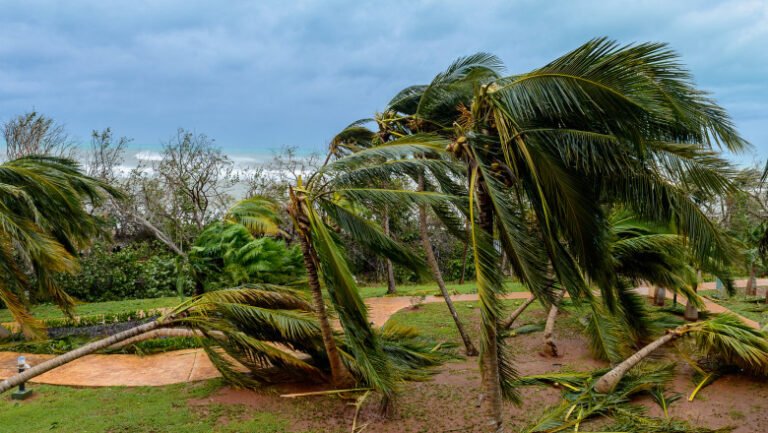 cuba-acuza-sua-de-„manipulare-politica”-dupa-trimiterea-ajutorului-pentru-uraganul-melissa