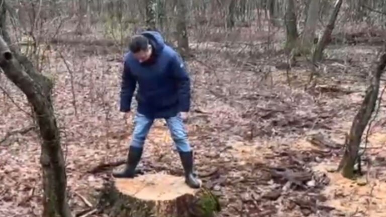 ministrul-mediului-anunta-ca-au-fost-deschise-doua-dosare-penale-dupa-taieri-ilegale-de-arbori,-la-baile-felix:-„este-infractiune”