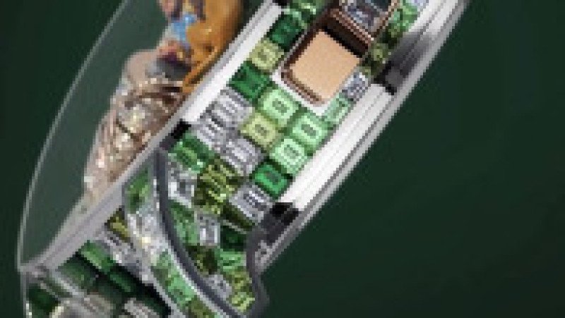 Ceas de lux inspirat de o grădină zoologică privată deținută de familia celui mai bogat om din Asia, Mukesh Ambani. Foto: Profimedia | Poza 3 din 7