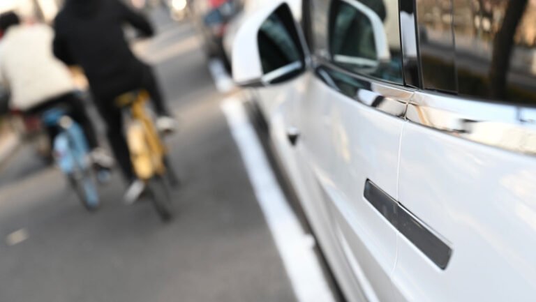 motivul-pentru-care-o-tara-a-interzis-manerele-ascunse-la-portierele-masinilor