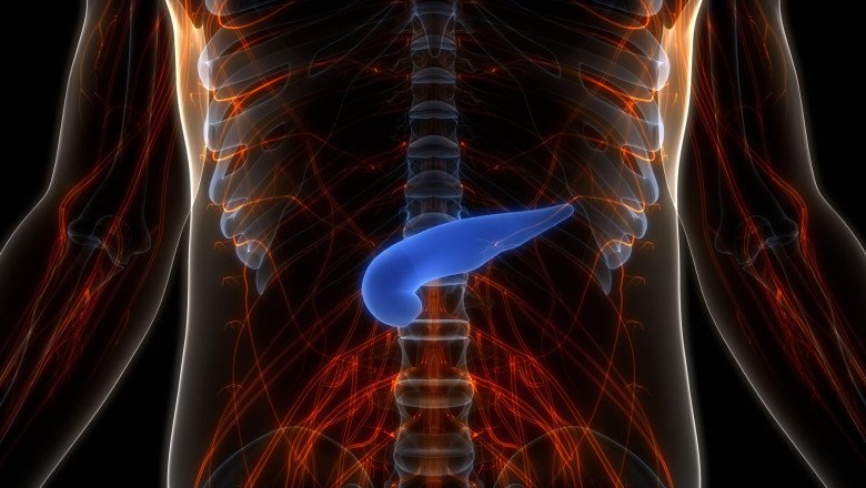 pancreasul-artificial-a-fost-dezvoltat-in-israel.-cum-functioneaza-„implantul-viu”,-care-ar-elimina-injectiile-zilnice-cu-insulina pancreasul-artificial-a-fost-dezvoltat-in-israel.-cum-functioneaza-„implantul-viu”,-care-ar-elimina-injectiile-zilnice-cu-insulina