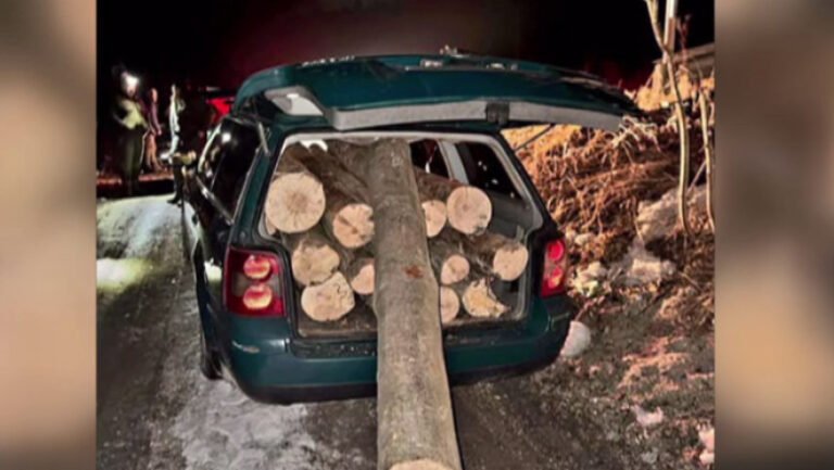 imaginile-zilei:-un-autoturism-incarcat-cu-14-busteni-dintr-o-padure-din-brasov.-soferul-este-cercetat-pentru-furt