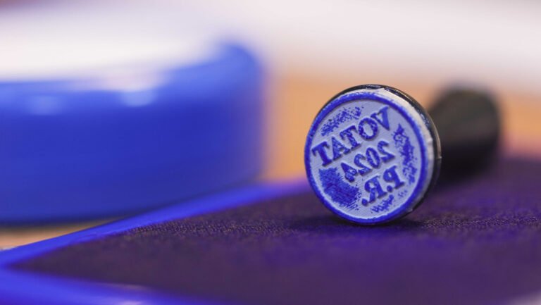 autoritatea-electorala-permanenta-va-accelera-demersurile-de-verificare-a-persoanelor-de-peste-90-de-ani,-inscrise-pe-listele-de-votare