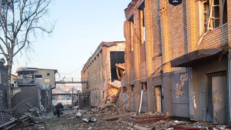 adapost-de-caini-din-zaporojie,-lovit-de-o-drona-ruseasca.-13-animale-au-fost-ucise:-„un-adevarat-carnagiu”