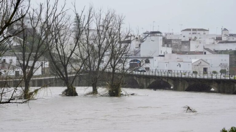 fermierii-anunta-„pagube-catastrofale”-dupa-ce-furtuna-marta-a-lovit-spania-si-portugalia