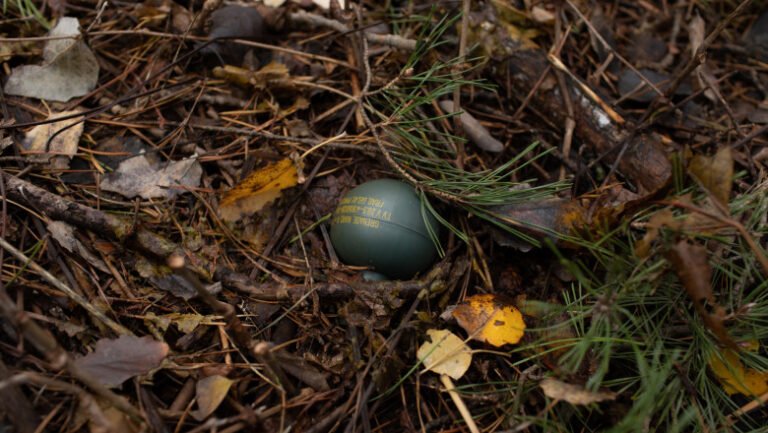 alerta-in-aiud-dupa-ce-doua-grenade-defensive-au-fost-descoperite-pe-un-drum-public