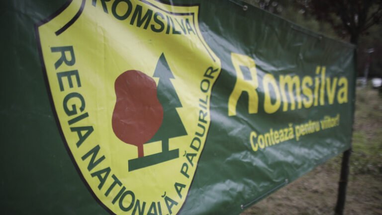 romsilva-a-redobandit-proprietatea-a-43000-de-hectare-de-padure-retrocedate-ilegal.-iccj-a-inchis-dosarul-care-l-a-vizat-pe-hrebenciuc