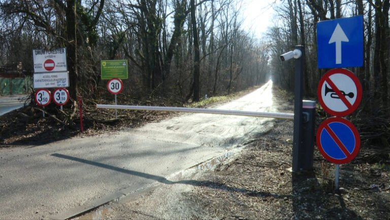 drum-ilegal-in-padurea-baneasa-mii-de-bucuresteni-din-sectorul-1-risca-sa-piarda-o-ruta-vitala-catre-casa.-reactia-romsilva