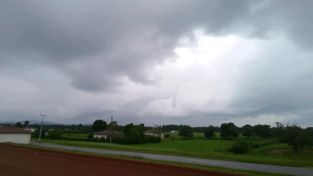 anuntul-meteorologilor:-cat-de-cald-va-fi-in-prima-parte-a-lunii-martie anuntul-meteorologilor:-cat-de-cald-va-fi-in-prima-parte-a-lunii-martie