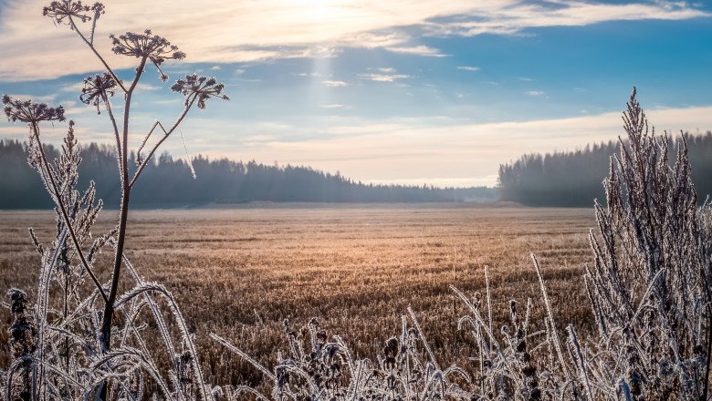 vremea-in-weekend:-temperaturi-de-pana-la-17-grade-celsius,-urmate-de-racire-brusca.-mateescu-(anm):-nu-excludem-ninsorile-in-martie vremea-in-weekend:-temperaturi-de-pana-la-17-grade-celsius,-urmate-de-racire-brusca.-mateescu-(anm):-nu-excludem-ninsorile-in-martie