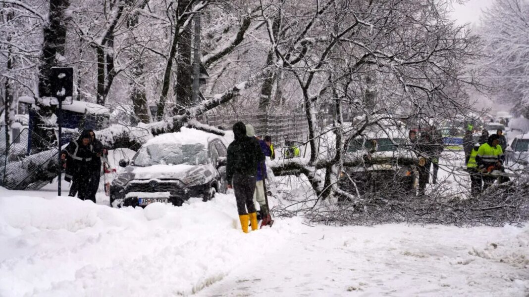 haos-in-bucuresti-dupa-ninsoare:-183-de-copaci-rupti,-zeci-de-masini-avariate-si-un-microbuz-blocat-in-zapada.-video haos-in-bucuresti-dupa-ninsoare:-183-de-copaci-rupti,-zeci-de-masini-avariate-si-un-microbuz-blocat-in-zapada.-video
