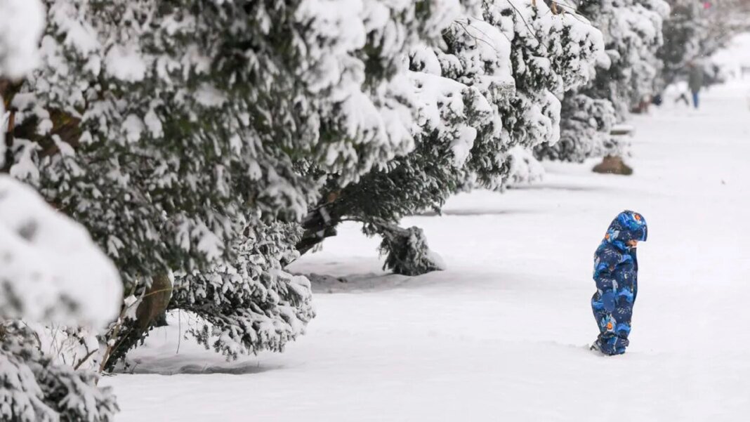 update:-scoli-inchise-din-cauza-viscolului:-galati,-vrancea-si-partial-braila-trec-in-online-/-scoli-inchise-si-in-constanta-si-bacau