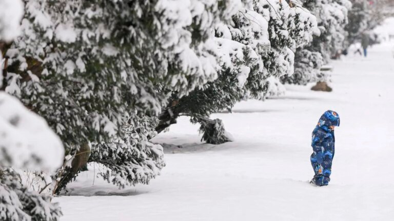 update:-scoli-inchise-din-cauza-viscolului:-galati,-vrancea-si-partial-braila-trec-in-online-/-scoli-inchise-si-in-constanta-si-bacau