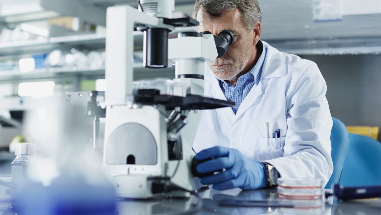 barbatii-au-tendinta-sa-si-piarda-cromozomul-y-pe-masura-ce-imbatranesc.-cum-este-afectat-organismul barbatii-au-tendinta-sa-si-piarda-cromozomul-y-pe-masura-ce-imbatranesc.-cum-este-afectat-organismul