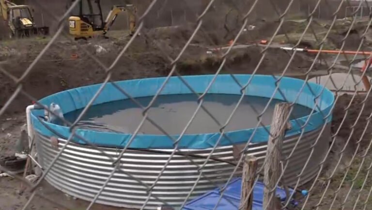 un-preot-din-dolj-a-redirectionat-apele-unui-parau-si-si-a-facut-ilegal-o-pastravarie.-spune-ca-nu-stia-ca-are-nevoie-de-autorizatii