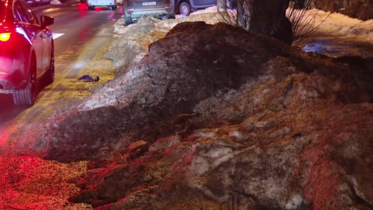 „asta-ajunge-in-plamanii-nostri”.-diana-buzoianu-spune-ca-zapada-neagra-de-pe-strazi-este-„simbolul-poluarii-din-bucuresti”