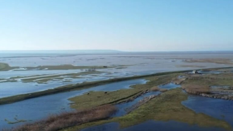 alerta-de-inundatii-dupa-valul-de-ninsori:-debitul-dunarii-a-crescut-alarmant,-iar-autoritatile-locale-au-fost-avertizate-sa-ia-masuri