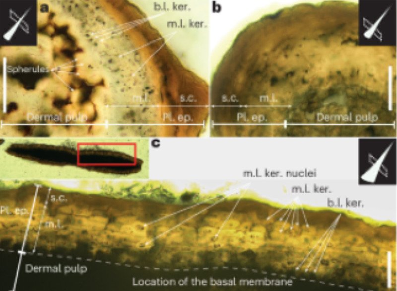 Screenshot 2026-02-10 202255