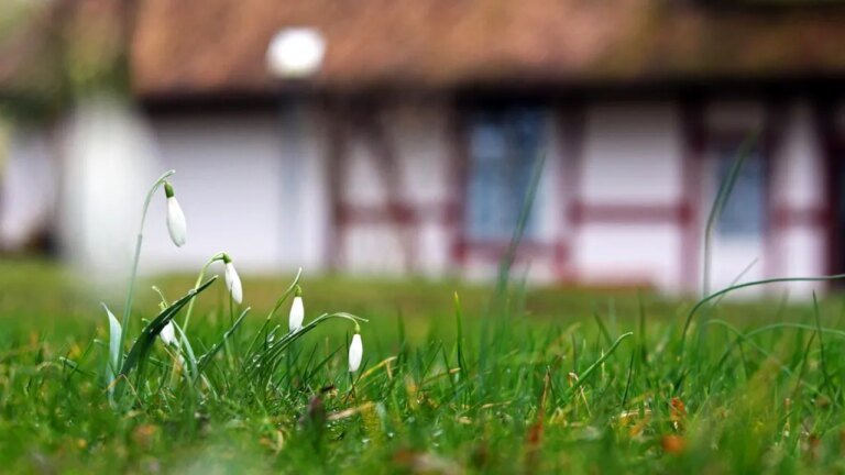 primavara-in-toata-regula.-estimarile-anm-pentru-urmatoarele-doua-saptamani