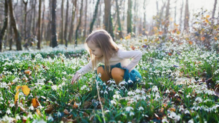 cum-se-anunta-vremea-in-prima-luna-de-primavara.-prognoza-anm-actualizata-pana-pe-30-martie