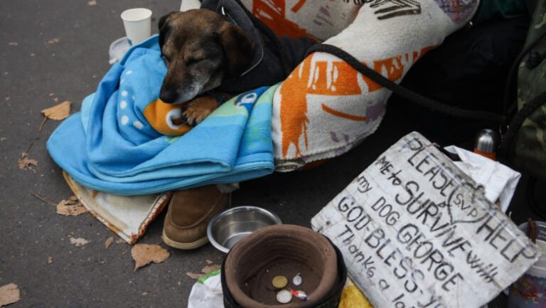 consiliul-europei-critica-interzicerea-cersetoriei-in-unele-orase-din-franta:-incalca-dreptul-la-protectie-impotriva-saraciei