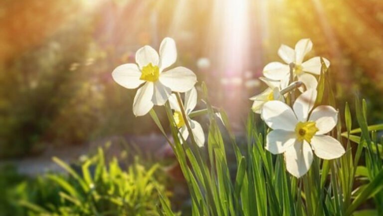 vreme-mai-calda-decat-normalul-in-bucuresti.-vant-puternic-in-mai-multe-zone-din-tara,-cod-galben-in-caras-severin