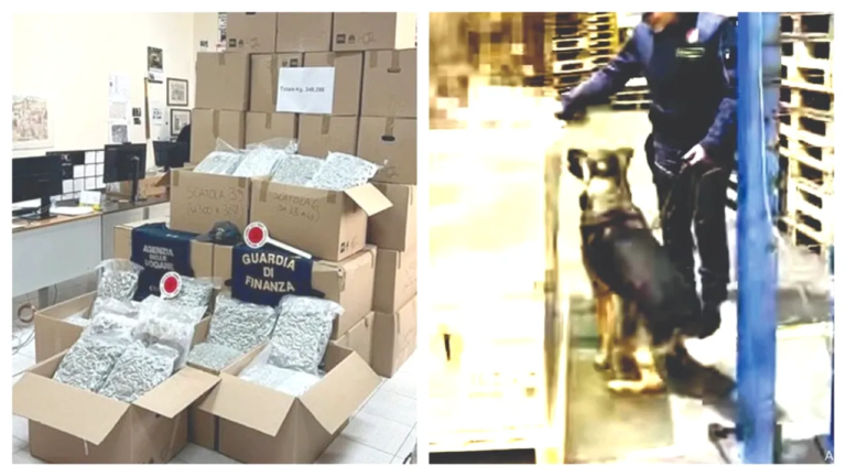 lovitura-de-knock-out-pentru-canalele-internationale-de-trafic-de-droguri-/-bulgar-arestat-in-italia-dupa-ce-a-fost-gasit-cu-marijuana-de-2-milioane-de-euro-in-camion