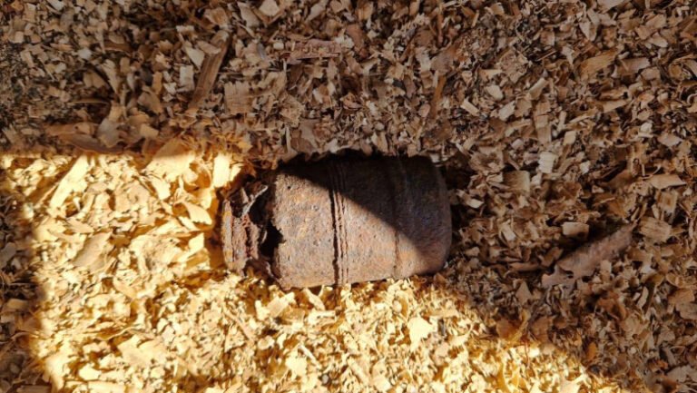 o-grenada-a-fost-gasita-de-un-localnic-din-harghita-in-propria-curte