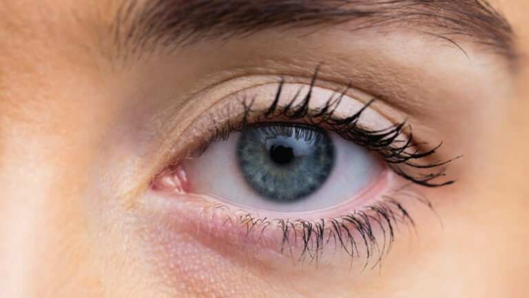 cornee-artificiala-din-solzi-de-peste,-testata-ca-alternativa-mai-ieftina-la-transplant-in-bolile-grave-ale-ochiului