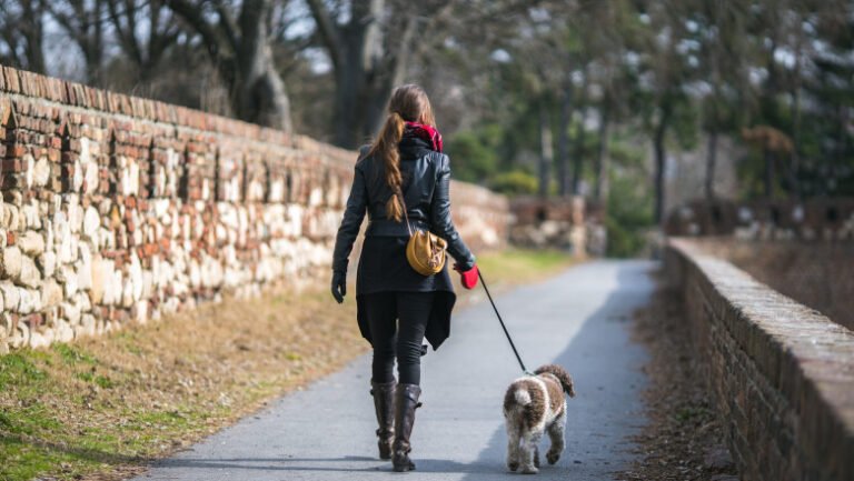 vremea-in-weekend-meteorolog:-„temperaturile-sunt-cu-mult-peste-ce-ar-fi-firesc-in-aceasta-perioada”.-unde-vor-fi-20-de-grade