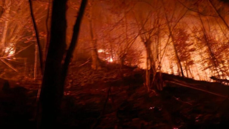 incendii-puternice-de-vegetatie-in-doua-judete-din-tara:-zeci-de-hectare-distruse-de-flacari.-elicoptere-black-hawk-trimise-in-sprijin