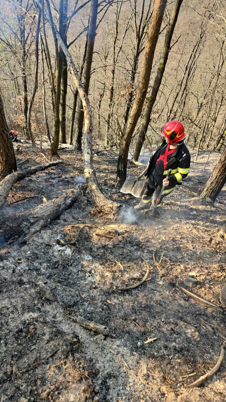 incendii-de-vegetatie-in-maramures-si-satu-mare:-pompierii-continua-monitorizarea-si-stingerea-focarelor