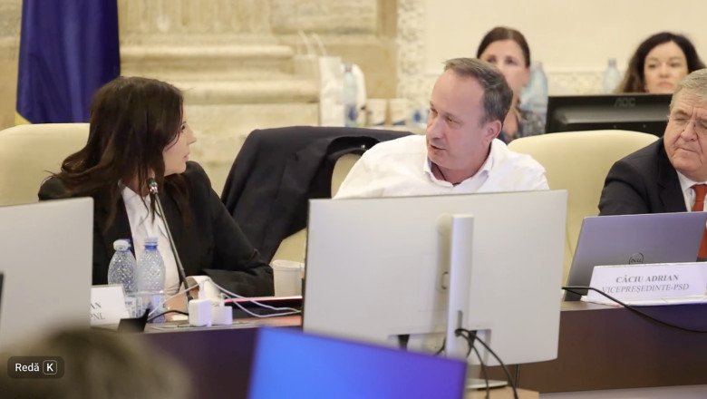 derapaj-in-parlament.-caciu-a-batut-cu-pumnul-in-masa-si-a-strigat-la-presedinta-comisiei-de-buget:-„vreau-raspuns!”